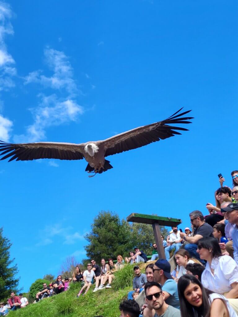 Parque Natural de Cabárceno