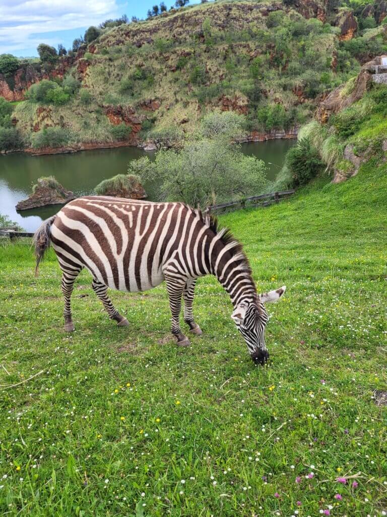 Parque Natural de Cabárceno
